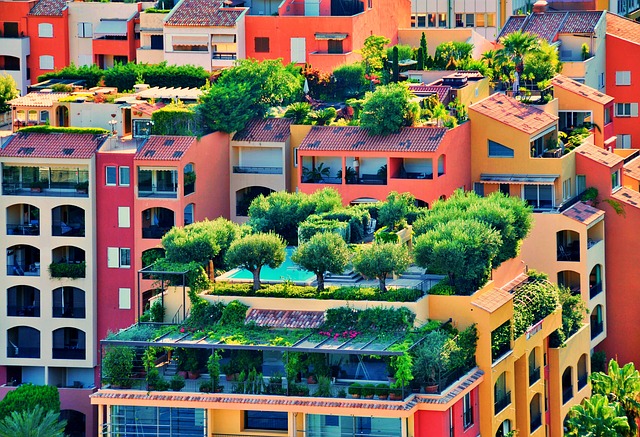 Het streven van de bewoners in steden naar meer groen laten de bomen zien die op de daken van de huizen groeien.
 